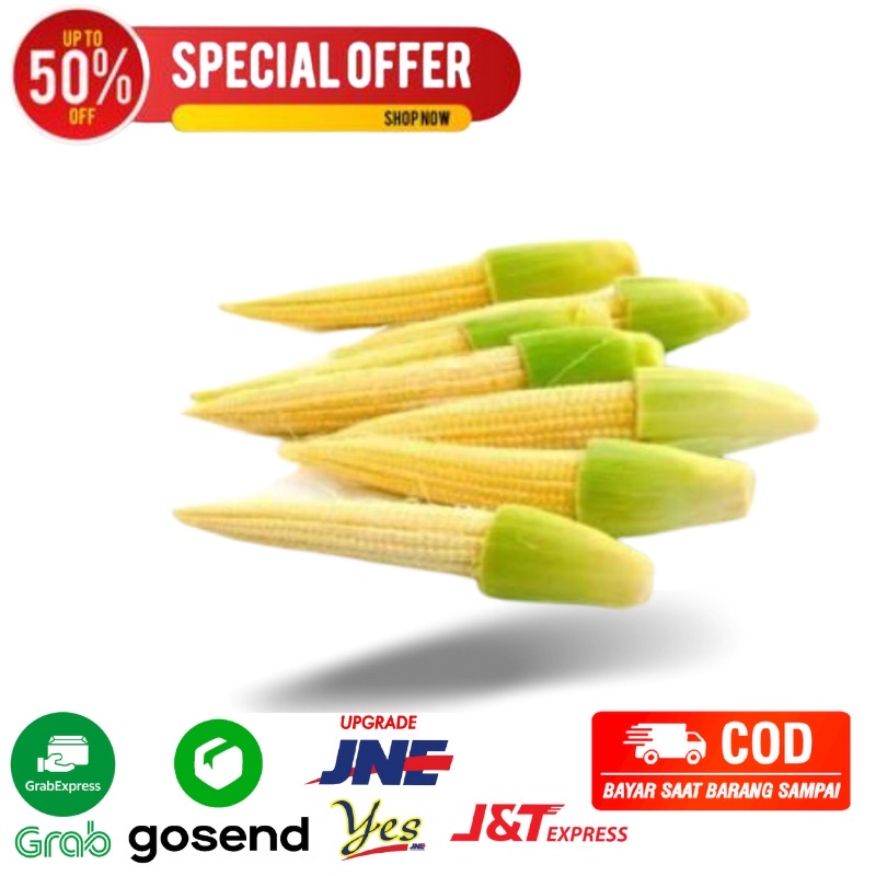 

Jagung Muda / Baby corn segar fresh sayuran segar Bandung