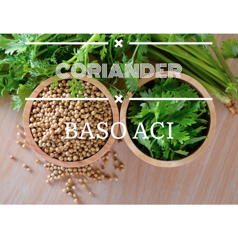 

BasoAci_Coriander