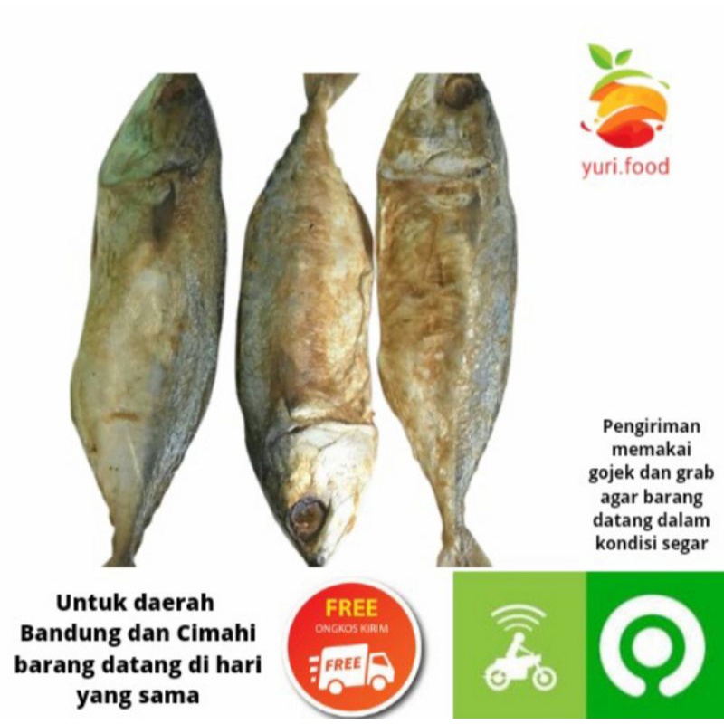 

Ikan asin peda merah satu bungkus isi 2 (Cimahi satu hari sampai)