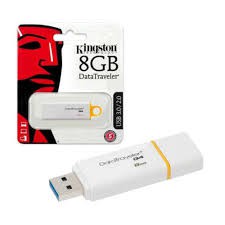 Flash Disk Kingstone 8 GB Flashdisk Drive Kingstone