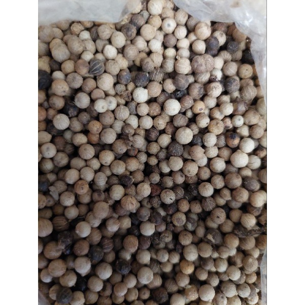 

✔️Murah lebay..Merica 50 gr
