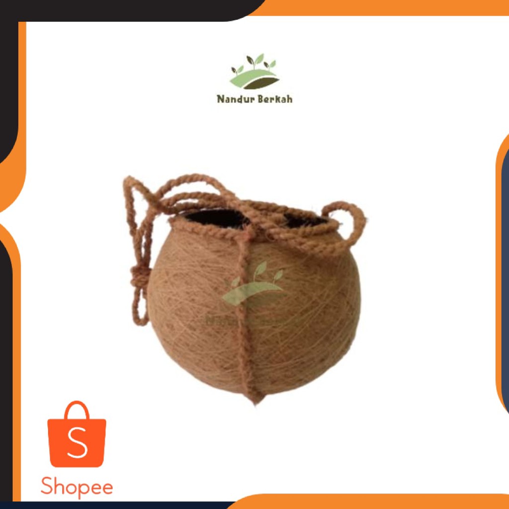 NEW BEST SELLER  - POT SERABUT KELAPA COCOFIBER 13 cm | MODEL KOKEDAMA BESAR
