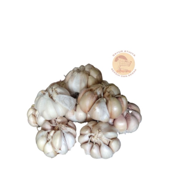 

Bawang putih banci 1kg sudah bersih dan pilihan