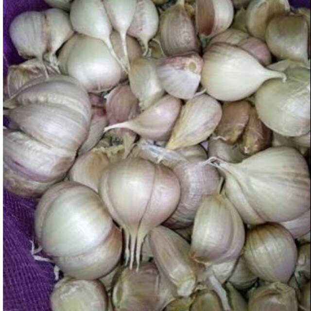 

terlaris bawang putih kating super