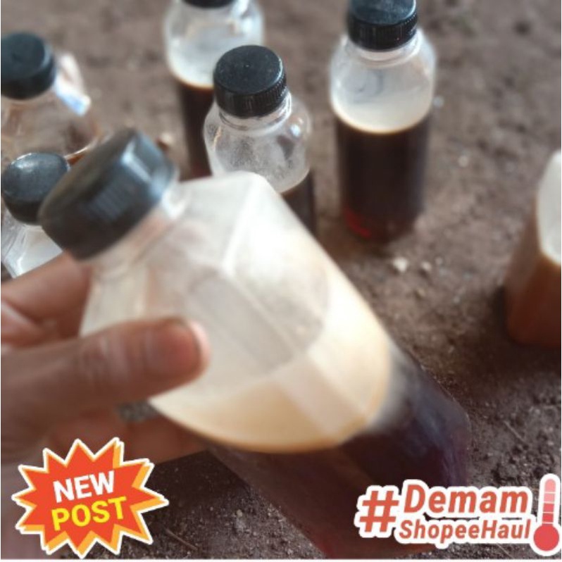 

MADU LEBAH ASLI