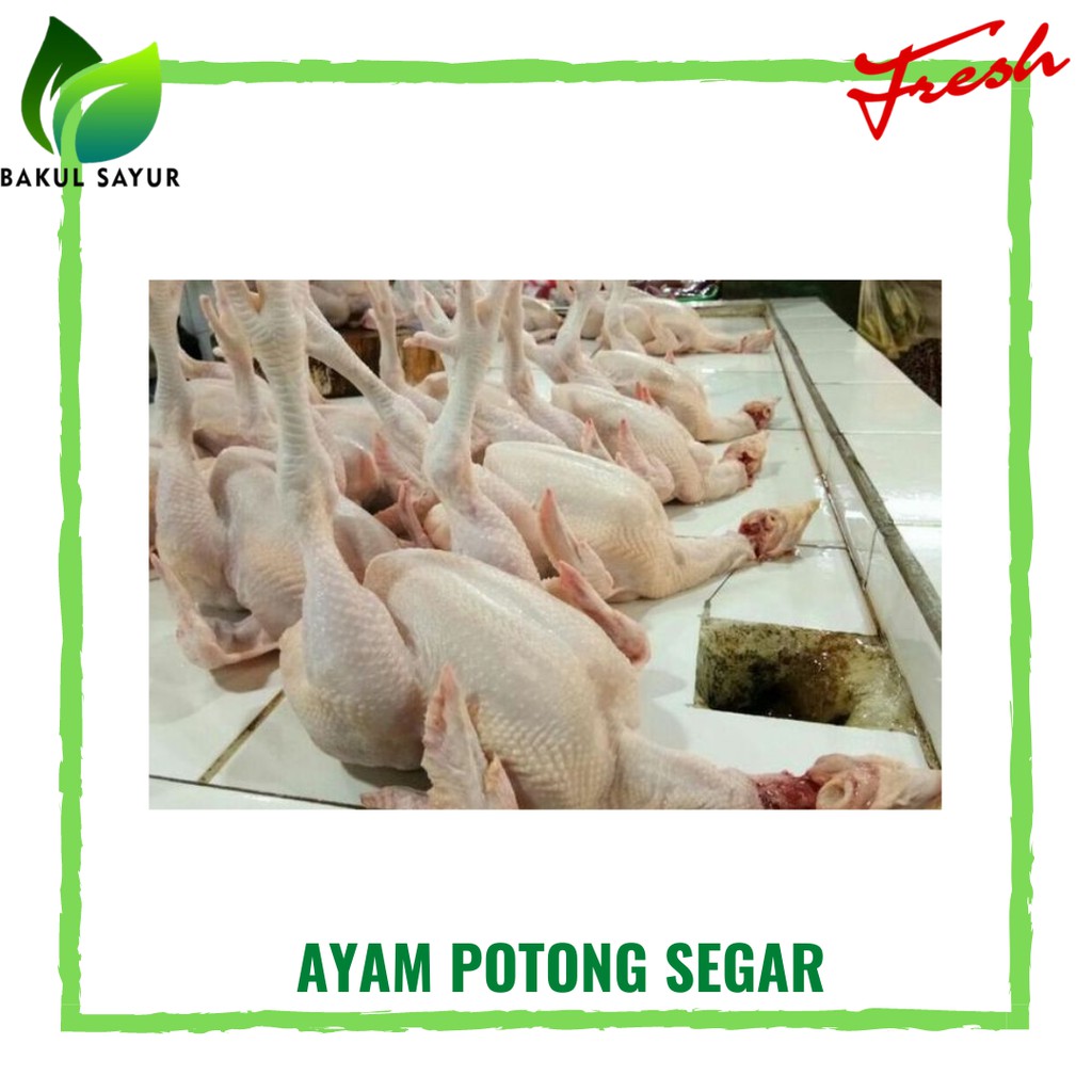 

AYAM NEGERI / NEGERI POTONG UTUH SEGAR 1-1.3KG - AYA SEGAR JAKARTA TIMUR