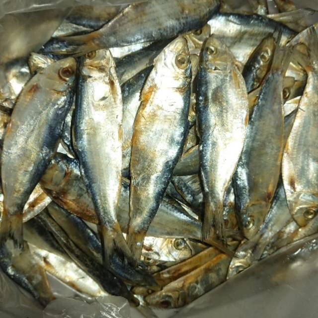 

Ikan asin tembang