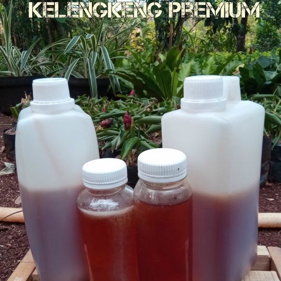 

Madu Kelengkeng Premium Isi Bersih 1kg