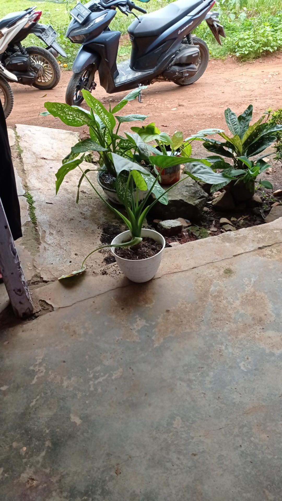 Tutup Panci Multifungsi Stainless Kaca Wajan Kuali Penggorengan Steamer Kukus Goreng 4 Ukuran Murah