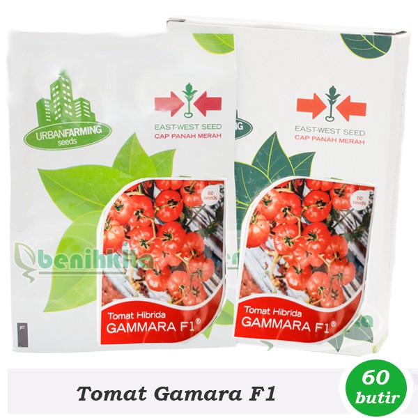 Benih-Bibit Tomat Keriting Gammara F1 (Cap Panah Merah)