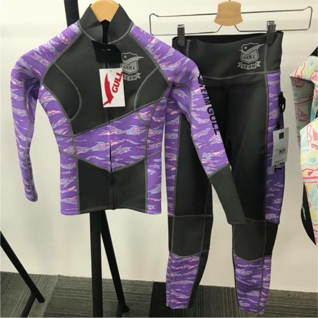 

WetsuitGull