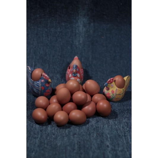 

TELUR