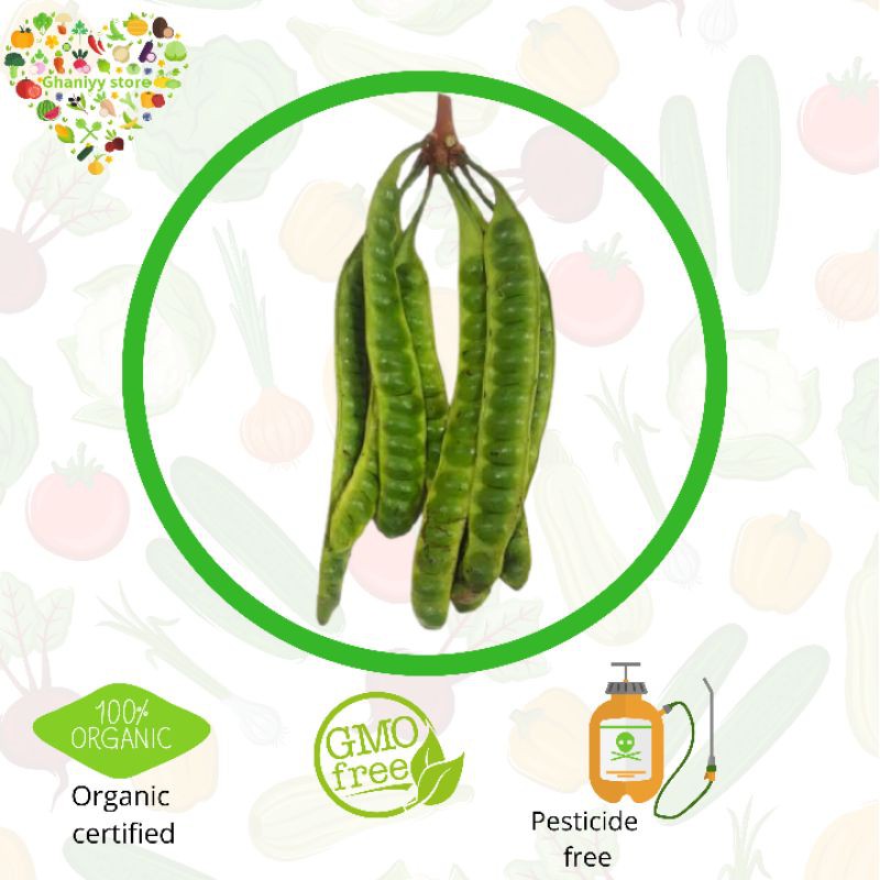 

sayur organik pete organik 1 pcs