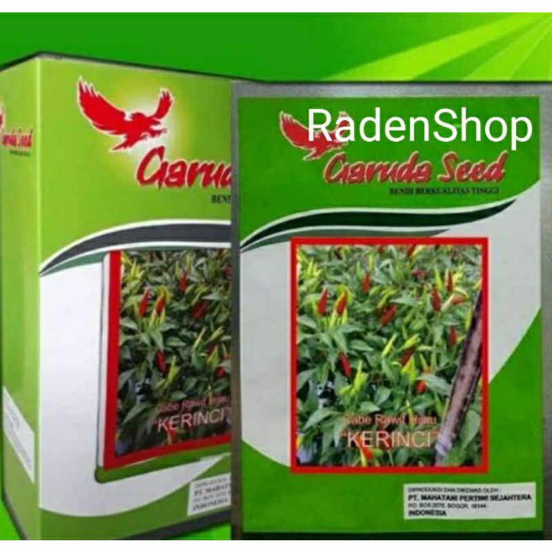 Benih Bibit Cabe Rawit Hijau KERINCI / Biji Cabe Rawit Hijau / Cabe Rawit / Benih Sayuran / Cabe