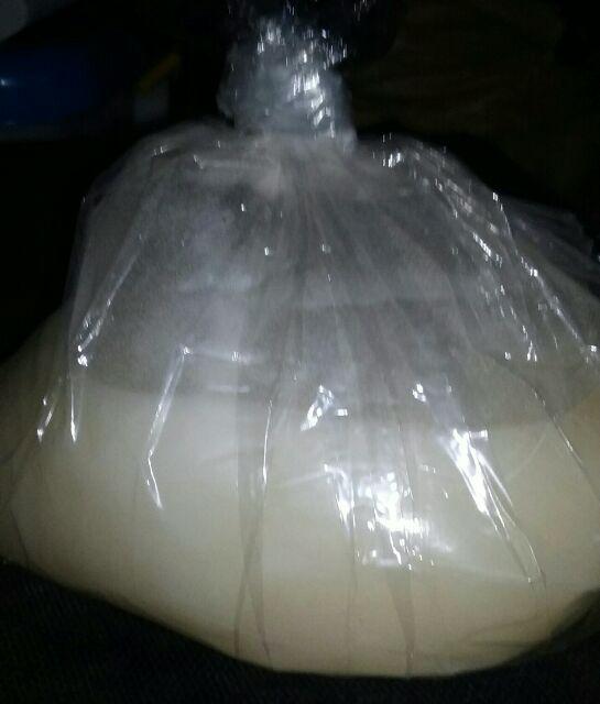 Bibit Pelicin Pakaian