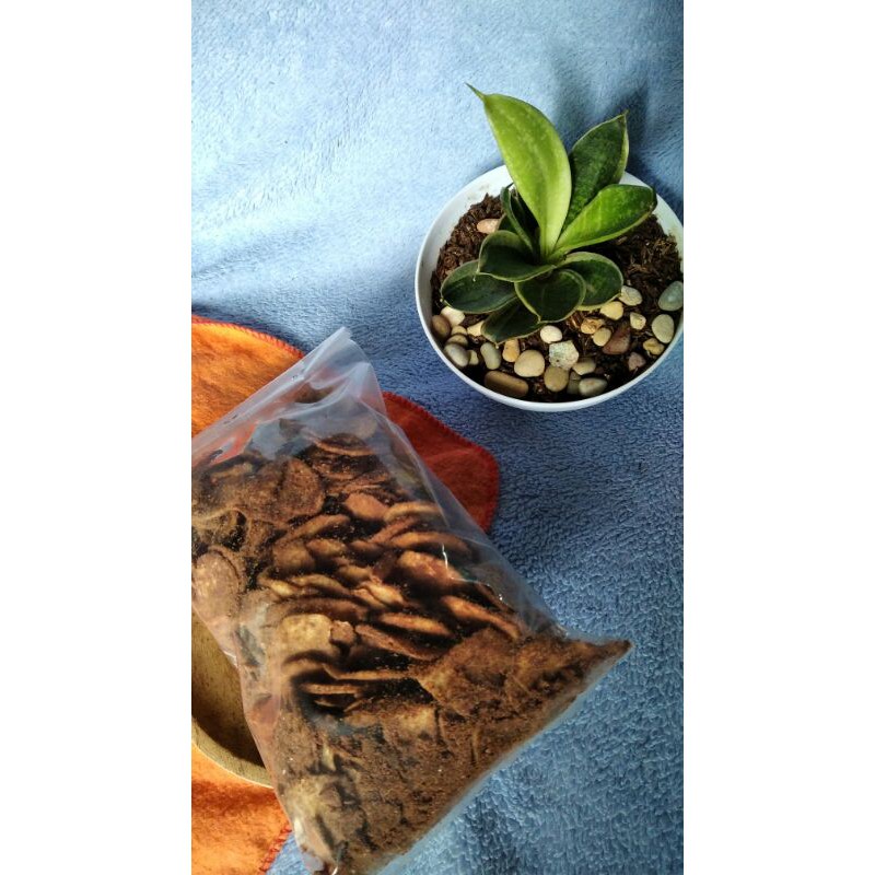 

kripik pisang coklat 250gr
