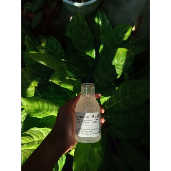 [BISA COD] Anthophile (Vitamin Tanamanku)/Pupuk Tanaman/Aglonema/Agloenema/Keladi/Anggrek/Wiku
