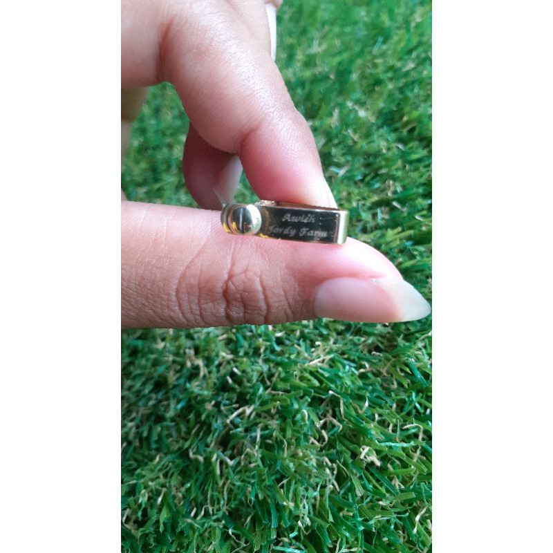 NEW WING BAND PENANDA AYAM ISI 100 BIJI PRODUK LOKAL KUALITAS IMPORT