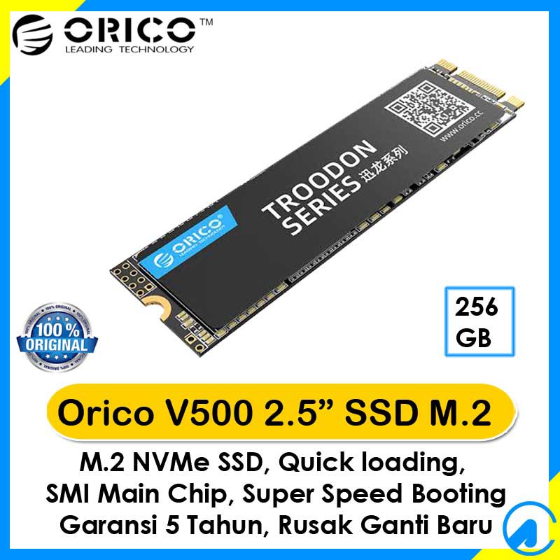 Orico V500 SSD 256GB M.2 NVMe 2280 Troodon Series