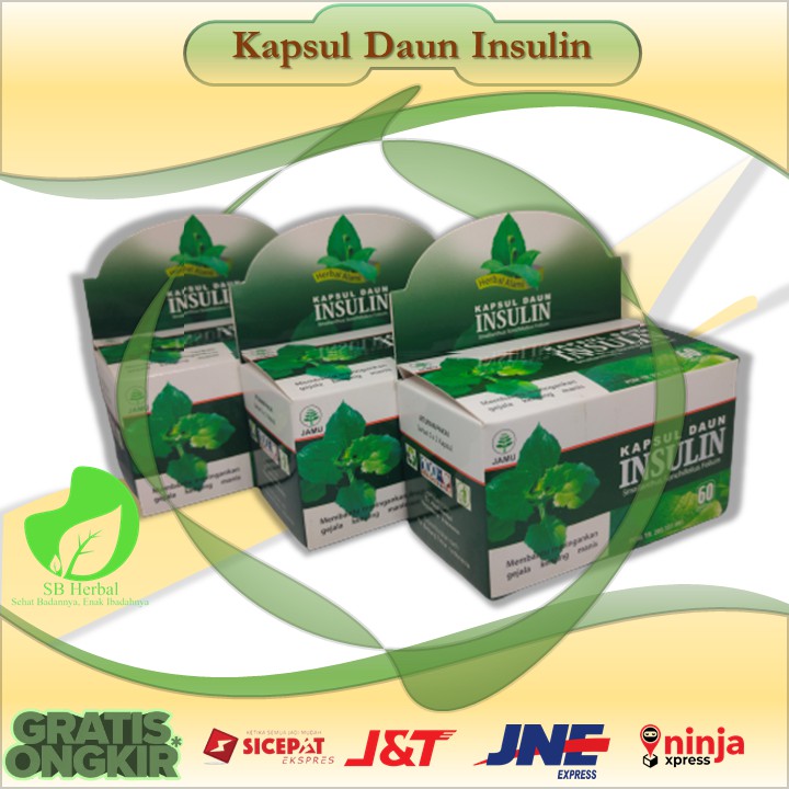 Kapsul Insulin - Obat Herbal Diabetes - Herbal Diabetes - Kapsul Insulin Bpom