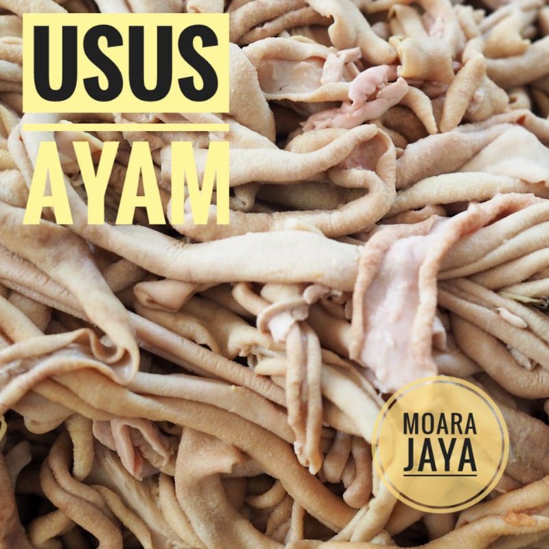 USUS AYAM