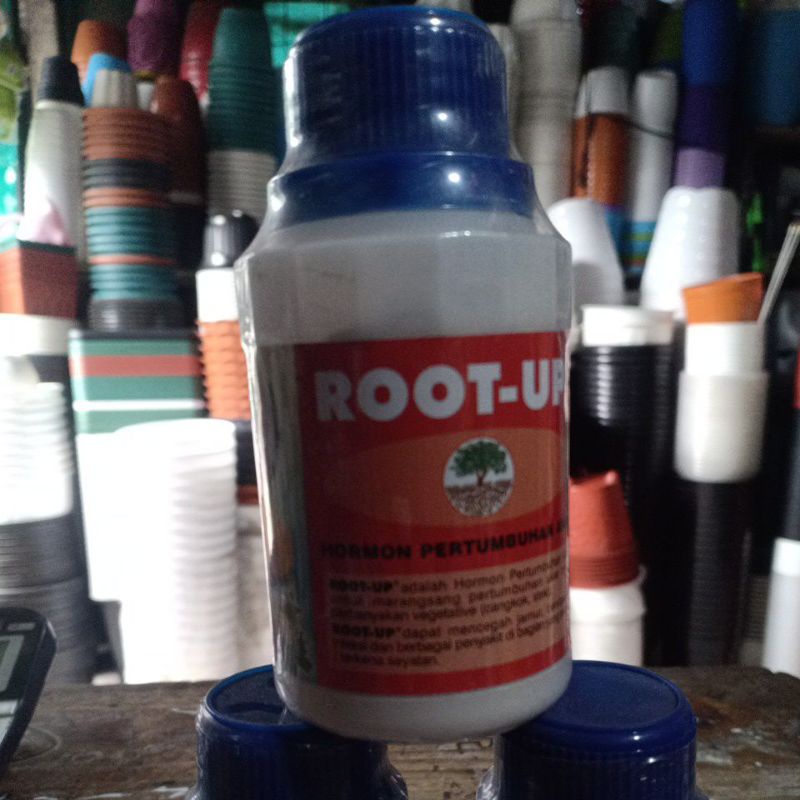 Root-Up Hormon Pertumbuhan Akar
