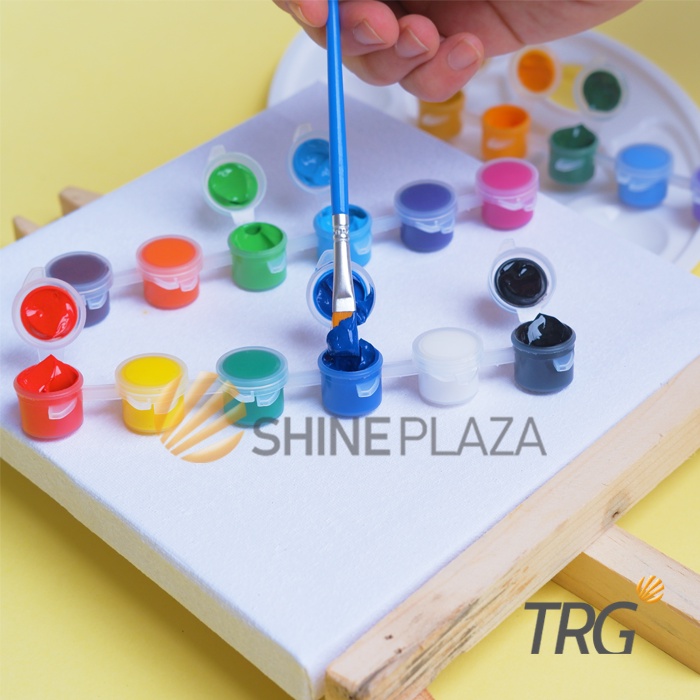 TRG Acrylic Colour Set 6 Warna - Cat Akrilik Kanvas Lukis Canvas Paint Acrylic Color 3 ml