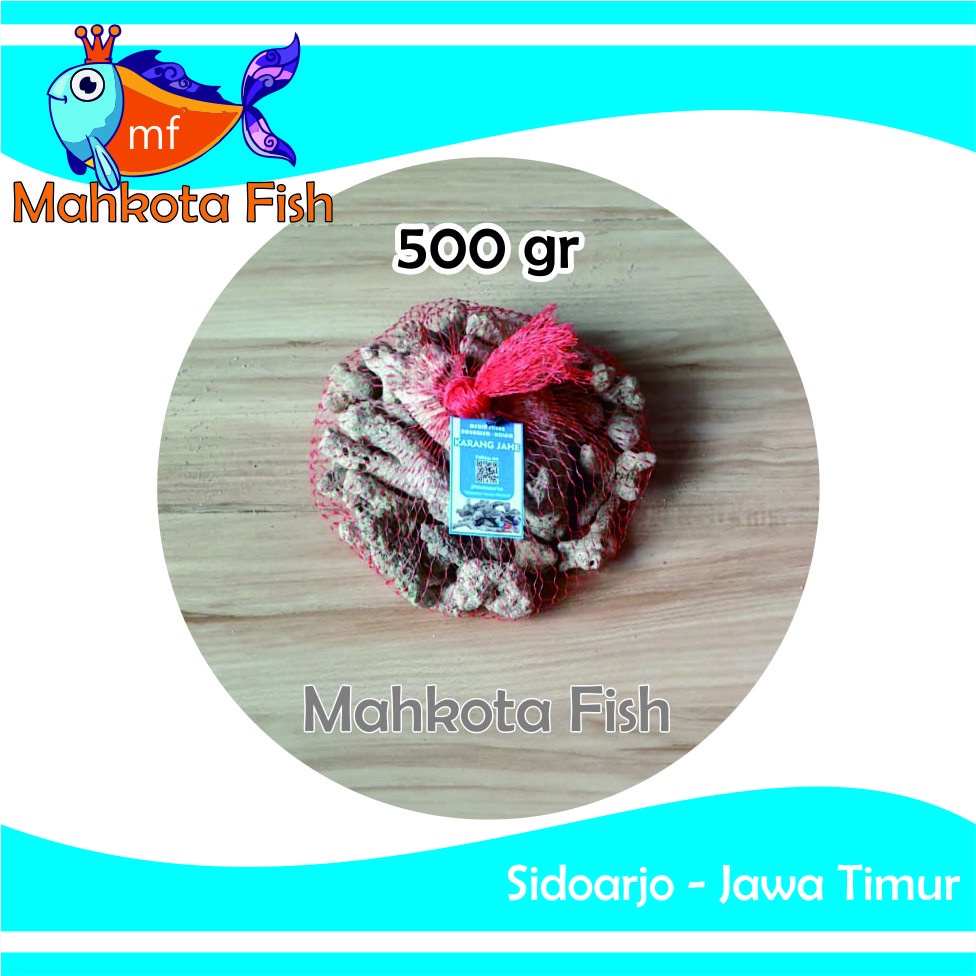 Batu Karang Jahe (500 gr) | Karang Jahe | Media Filter Aquarium Aquascape | Media Filter Kolam