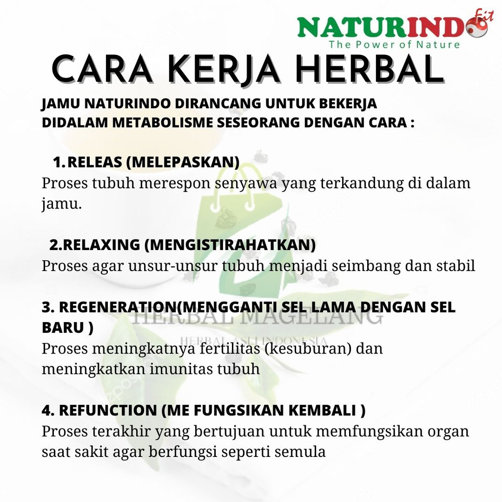 Obat Herbal Wasir Daun Ungu Ambeien Obat Ambeyen Paling Ampuh Obat BAB Berdarah Ambien Hemoroid-7