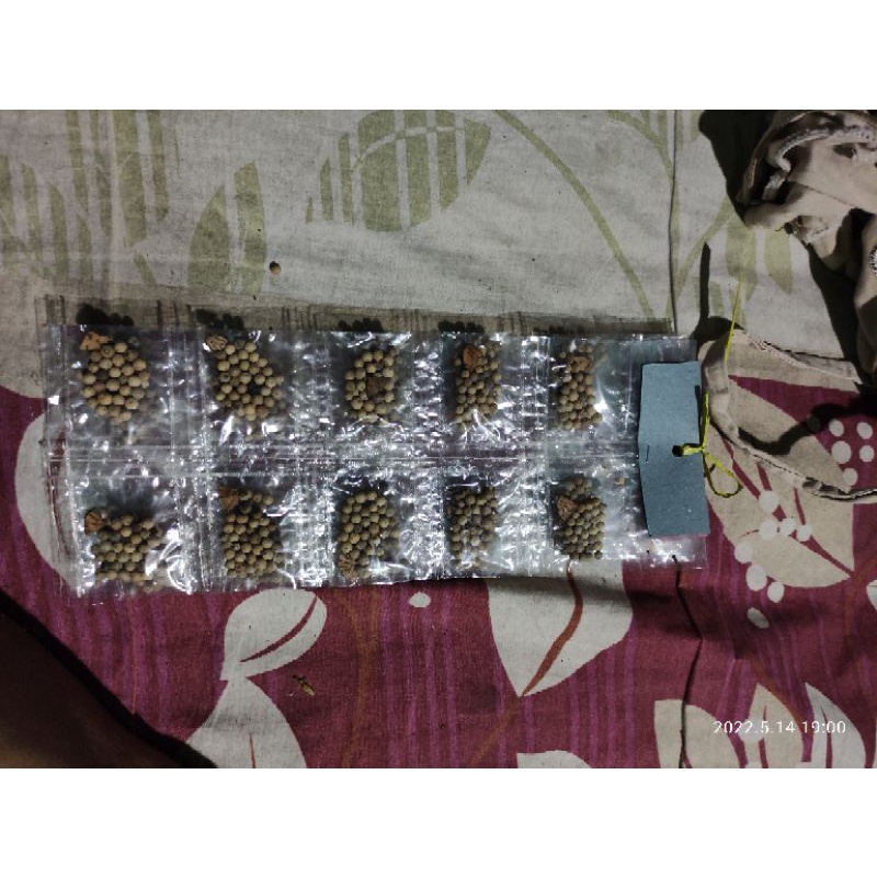 

bumbu merica rentengan