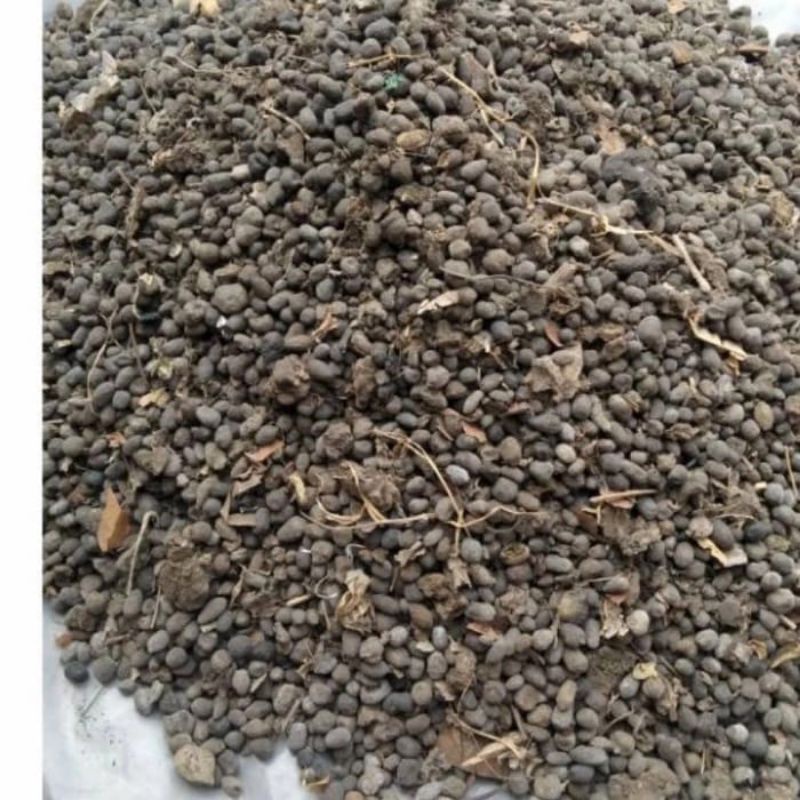 pupuk tanaman kohe/kotoran kambing/tai kambing