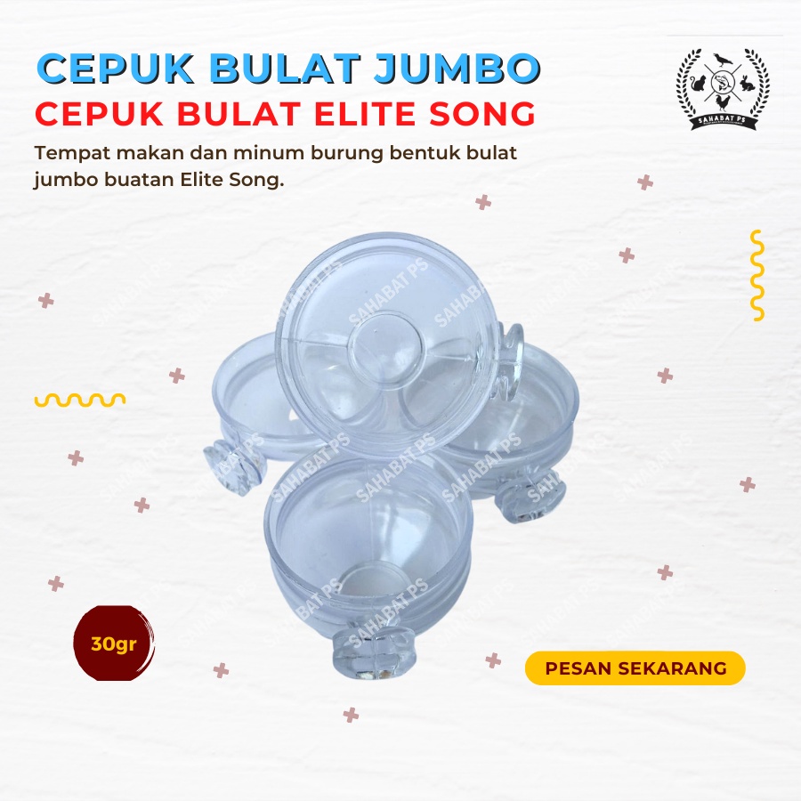 CEPUK BULAT JUMBO ELITE SONG TEMPAT PAKAN MINUM BURUNG LOVEBIRD MURAI