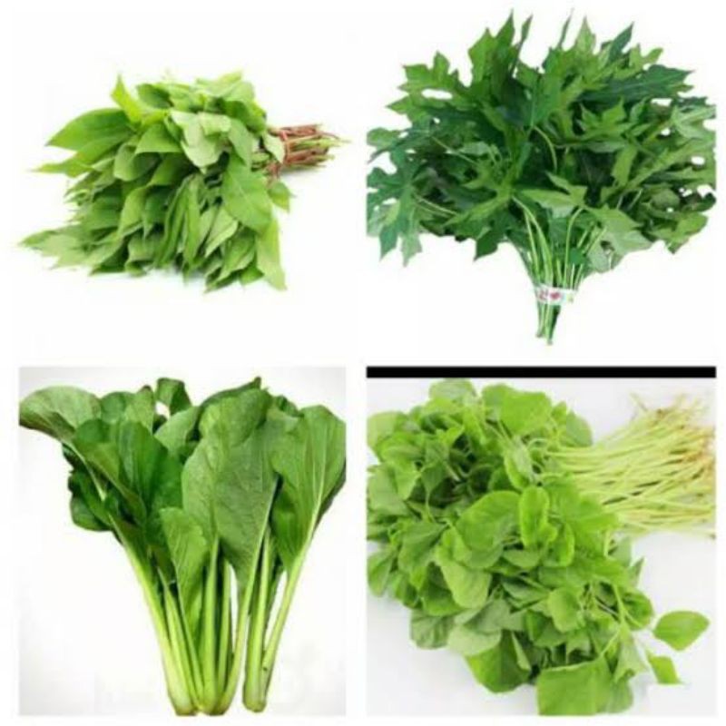 

sayur bayam / kangkung / sawi hijau fresh 1 ikat