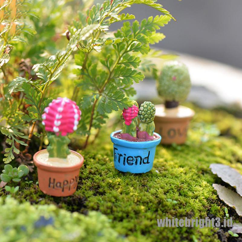 (white3) Miniatur Kaktus Untuk Dekorasi Taman Minifairy Garden DIY