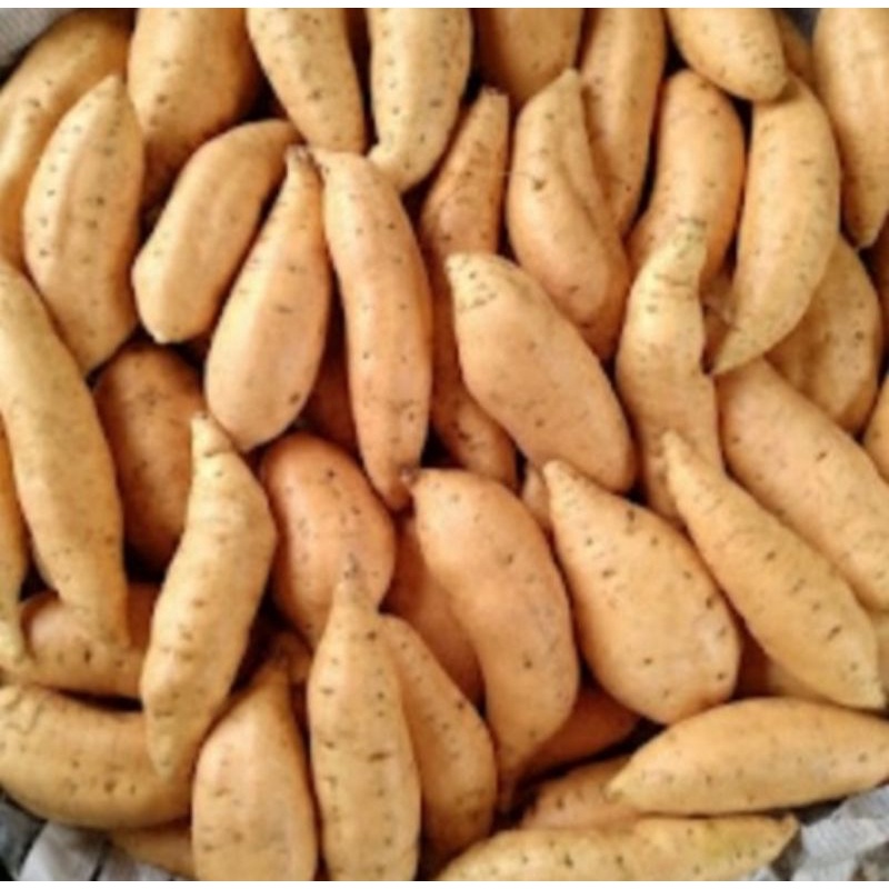 

Ubi cilembu asli sumedang per 1kg