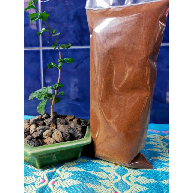 

Kopi Robusta Dampit