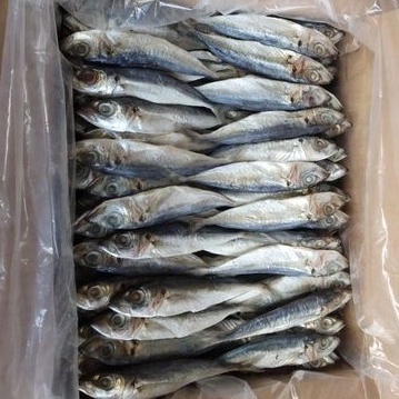 

Ikan asin layang/peda