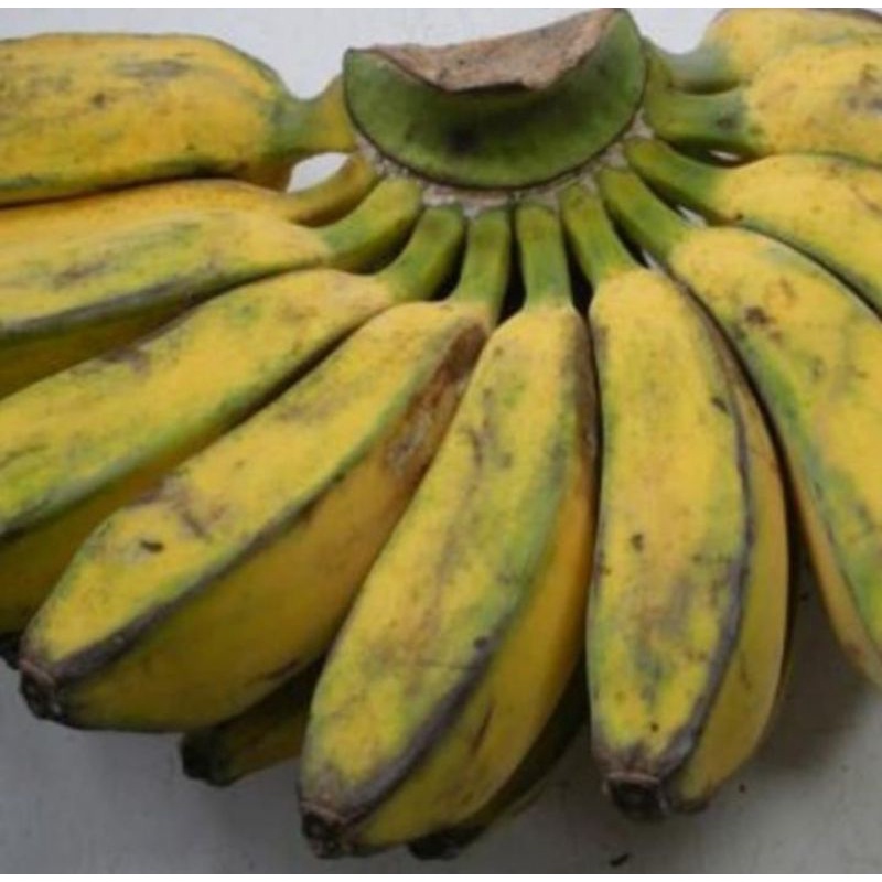 

PISANG KEPOK/PISANG MENURUN asli Banjar (pengaron) 1KG