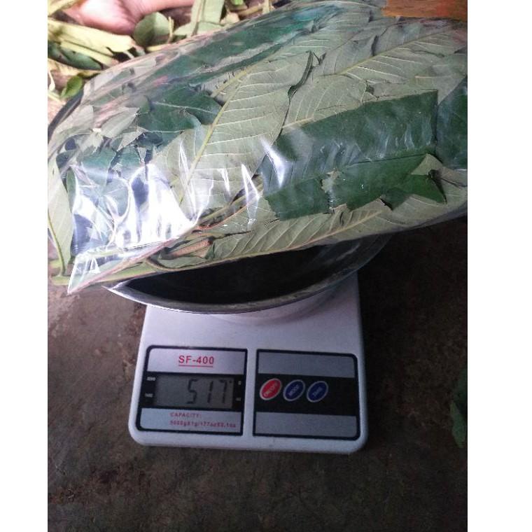 

Stok Banyak DAUN SUNGKAI 500 gram herbal covid 19 harga pendemi 40 ➥
