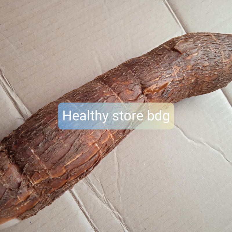

Jual singkong sapikuru segar 1 kg