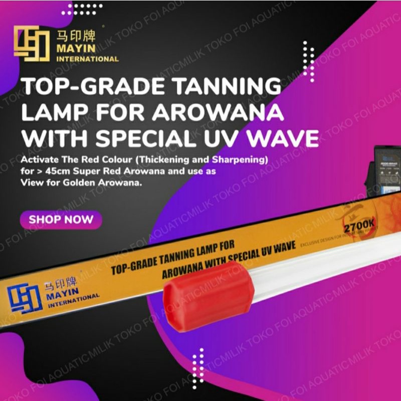 Lampu TANNING celup submersible T5 MAYIN 2700K Aquarium Ikan Arowana