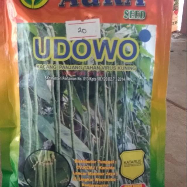 Benih kacang panjang udowo aura seed