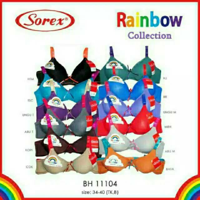 BH Sorex  11104 rainbow