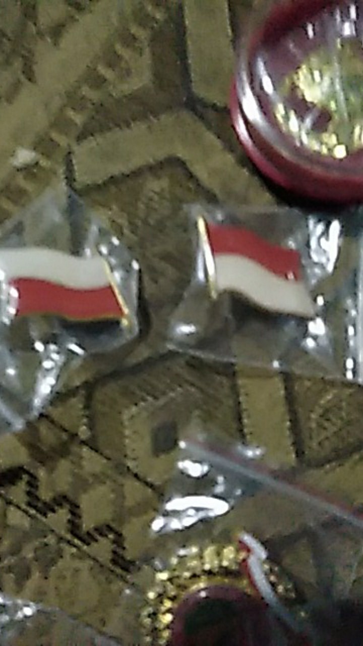 Pin Bendera Indonesia Berkibar Pin Bendera Merah Putih Berkibar 2.5cm Kuningan Paku Satuan