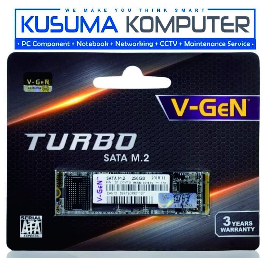 V-Gen VGEN M.2 SATA SSD 2280 256GB