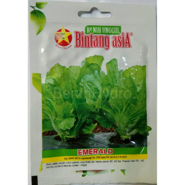 Emerald Sawi Pahit