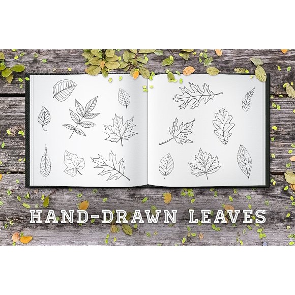 The Handdrawn Bundle