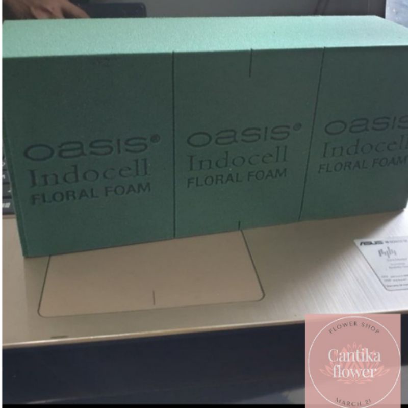 oasis floral foam/oasis basah/oasis bunga tangkai asli