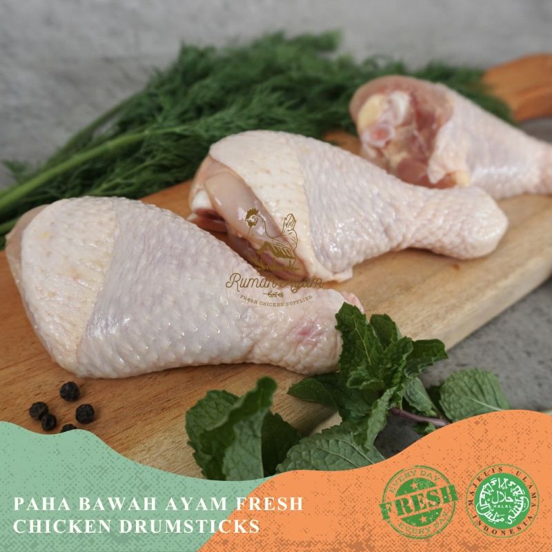 

CHICKEN DRUMSTICK FRESH - PAHA BAWAH AYAM - PAHA PENTUNG SEGAR