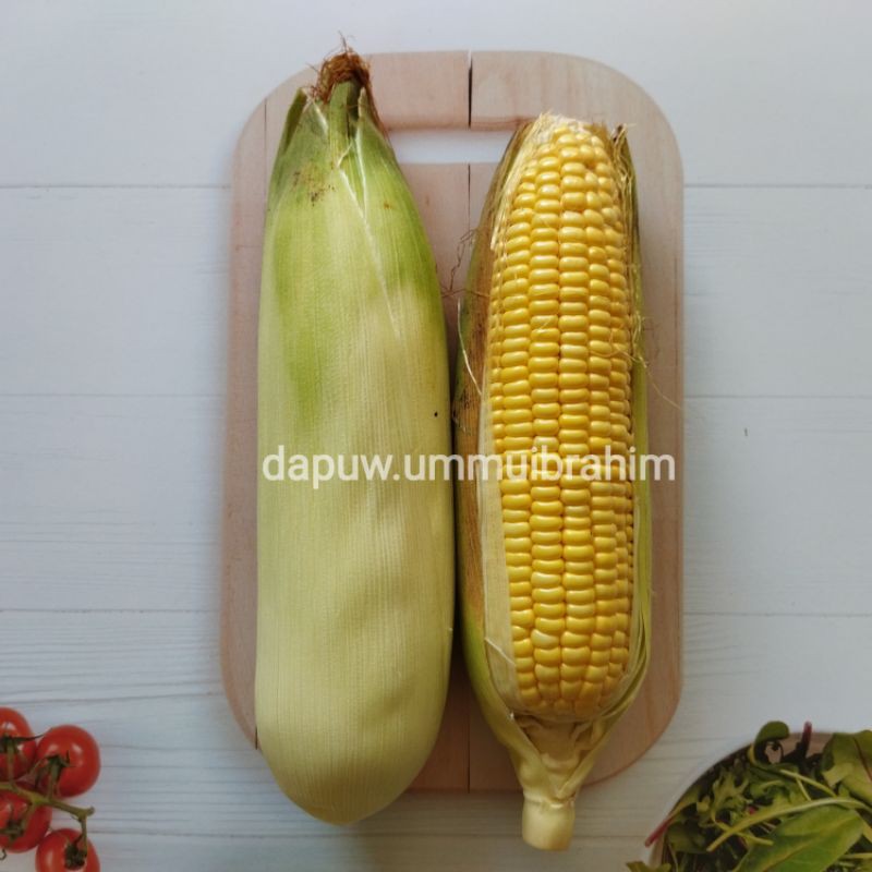 

Jagung Muda Manis Fresh